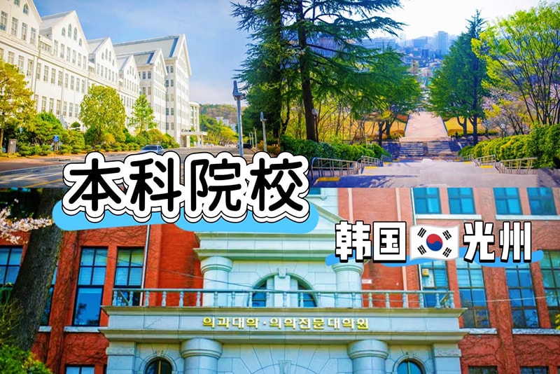 韓国留学